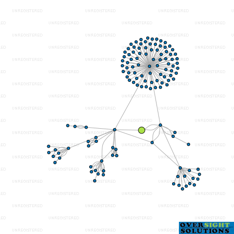 Network diagram for MORGANWG INVESTMENTS LTD