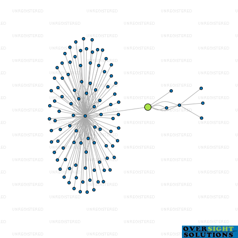 Network diagram for TRELINNOE STATION 2018 LTD