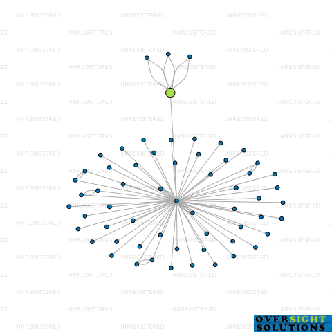 Network diagram for HFC FLOORING LTD