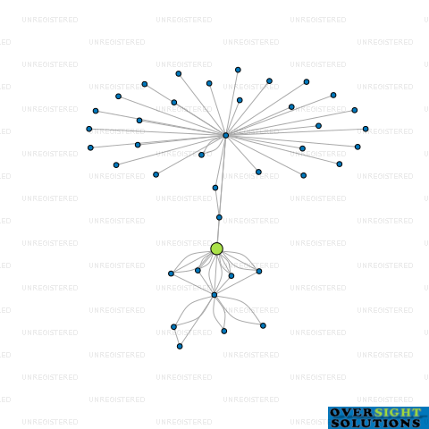 Network diagram for WINDOW TREATMENTS NEW ZEALAND LTD