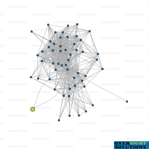 Network diagram for SHREE KRISHNA NZ LTD
