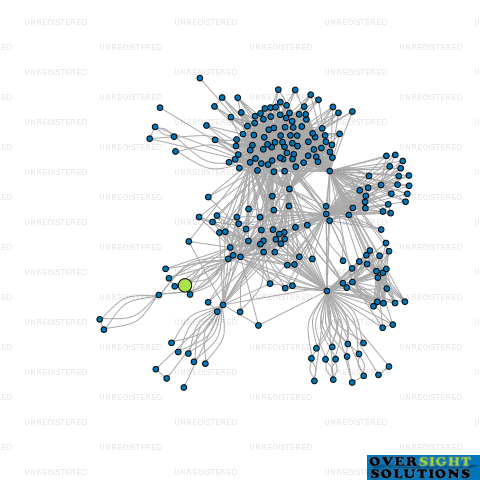 Network diagram for BLUE LADDER CONSULTANTS LTD