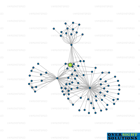Network diagram for HILL COUNTRY HOLDINGS LTD