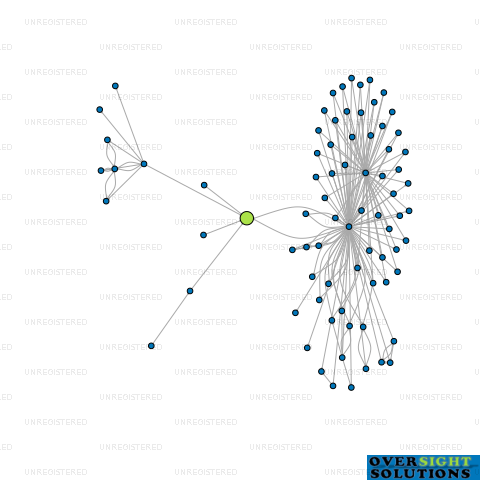 Network diagram for YEN YOUNG LTD
