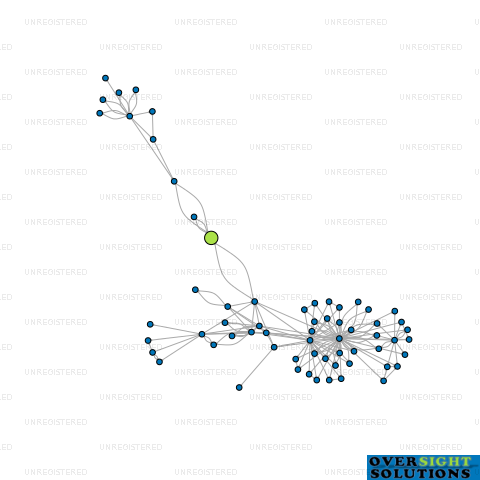 Network diagram for CUTLER STREET LTD