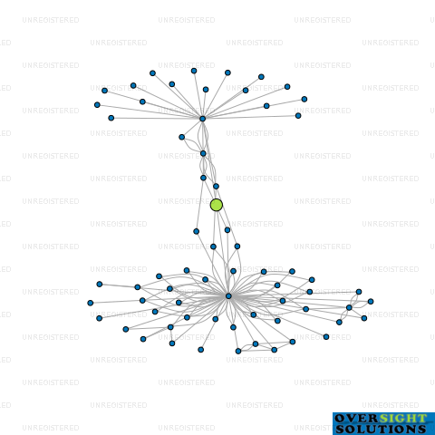 Network diagram for HES FINANCE LTD