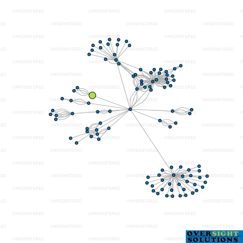 Network diagram for SANA ACRES LTD