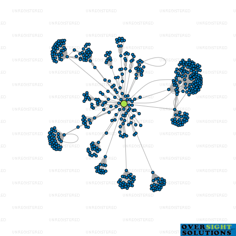 Network diagram for COOKS BEACH WALL LTD