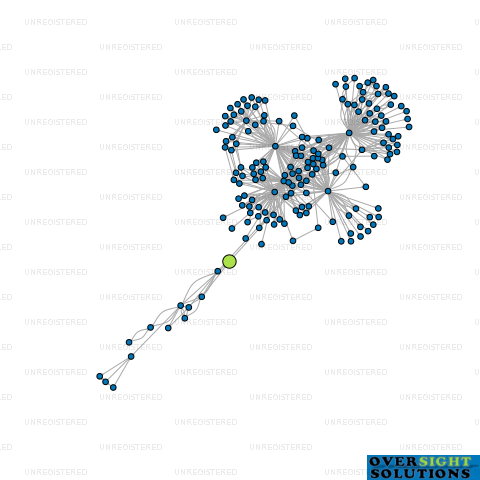 Network diagram for TREEWERX LTD