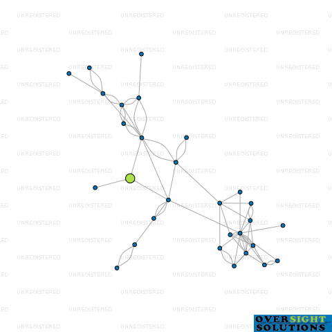 Network diagram for WLS PROPERTIES LTD