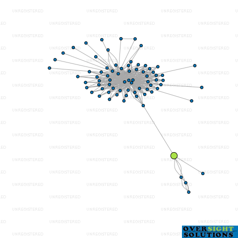 Network diagram for CONSULTANTS GLOBAL LTD