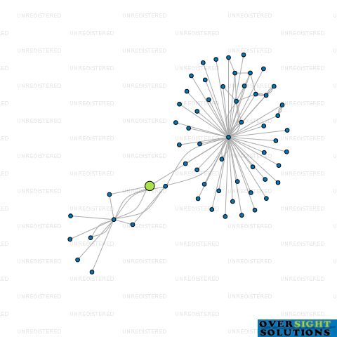 Network diagram for WINTER MAUI LTD