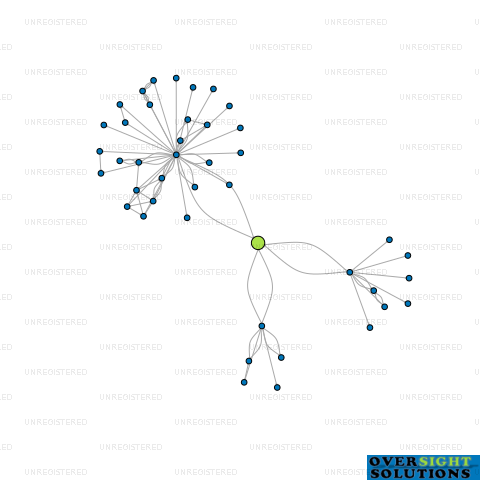 Network diagram for 199 JOHNS ROAD LTD