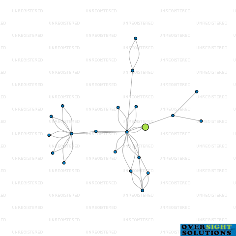 Network diagram for WISE MANAGEMENT LTD