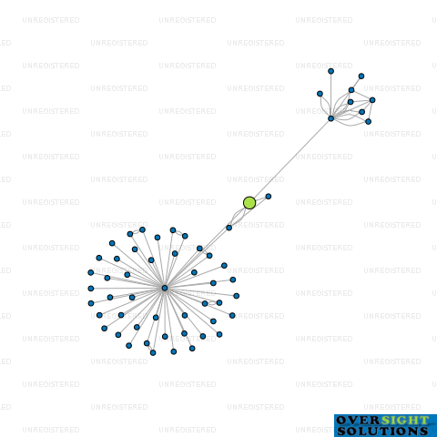 Network diagram for SECOND LIGHT INSURANCE LTD