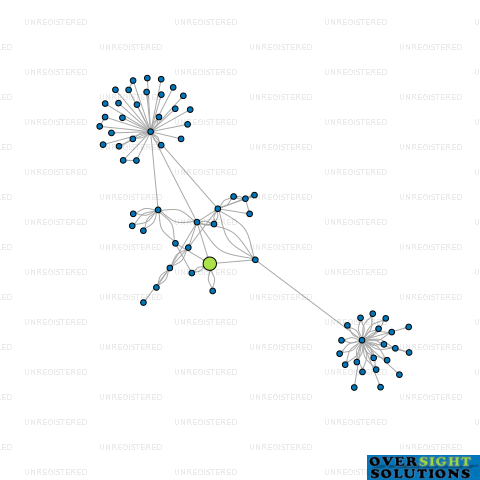 Network diagram for WJP HOLDINGS LTD