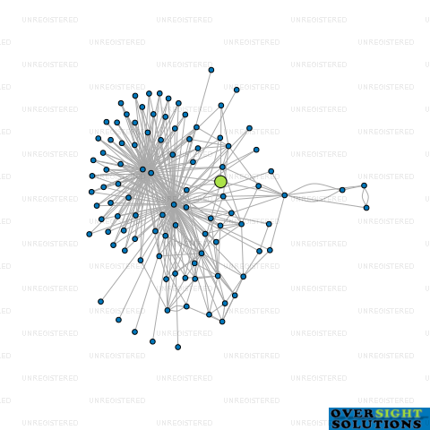 Network diagram for TRAVEL ADVOCATES LTD