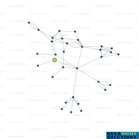 Network diagram for APNZ1 LTD