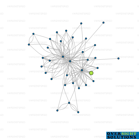 Network diagram for 333 REAL ESTATE NEW ZEALAND LTD