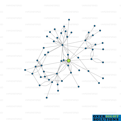 Network diagram for SUMMIT CAPITAL LTD