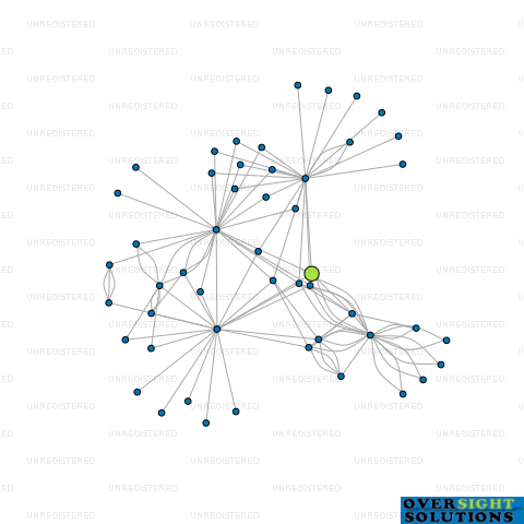 Network diagram for 17 DICKENS LTD
