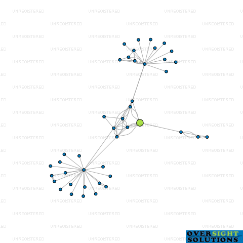 Network diagram for MORRINSVILLE REAL ESTATE 2022 LTD
