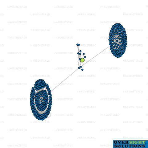 Network diagram for RIPPLE NZVFX LTD