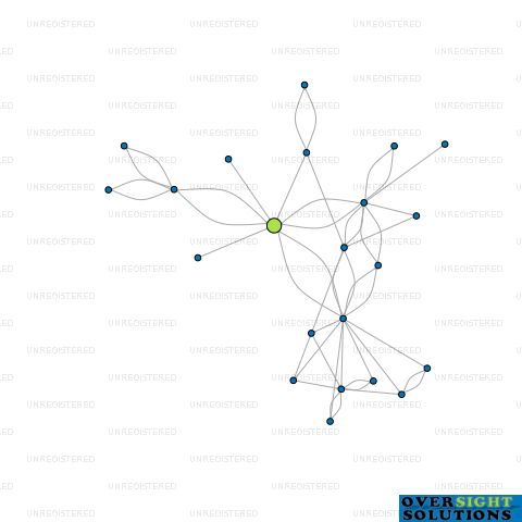 Network diagram for 8000KW LTD