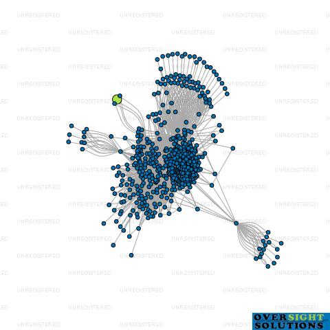 Network diagram for SH MAHAL LTD