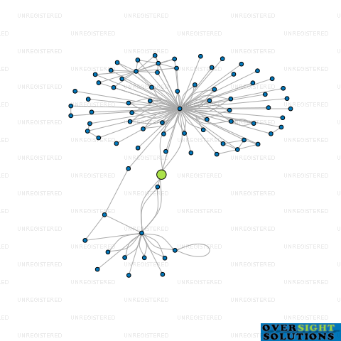 Network diagram for SHANDON CORPORATION LTD