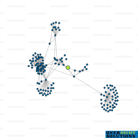 Network diagram for WINGER INVESTMENTS LTD