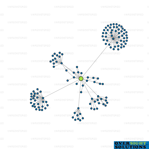 Network diagram for BEPURE HEALTH LTD