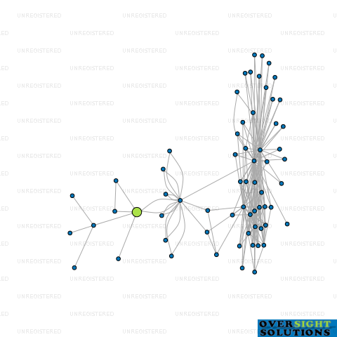 Network diagram for SCREEN EDGE LTD