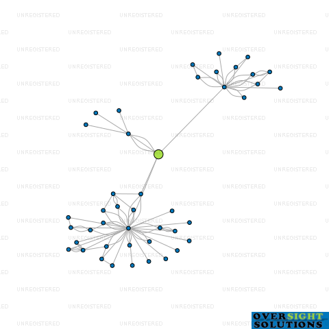 Network diagram for ENZTEC LTD