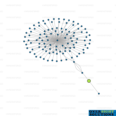 Network diagram for BERKDALE HOLDINGS LTD