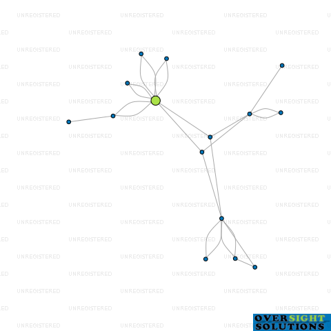 Network diagram for VANTAGE DIGITAL LTD