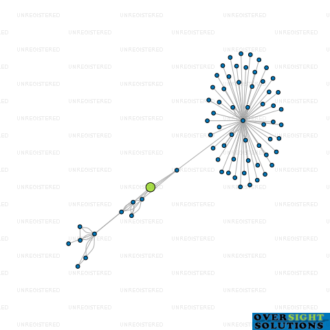 Network diagram for BOUNDARY STREET INVESTMENTS LTD