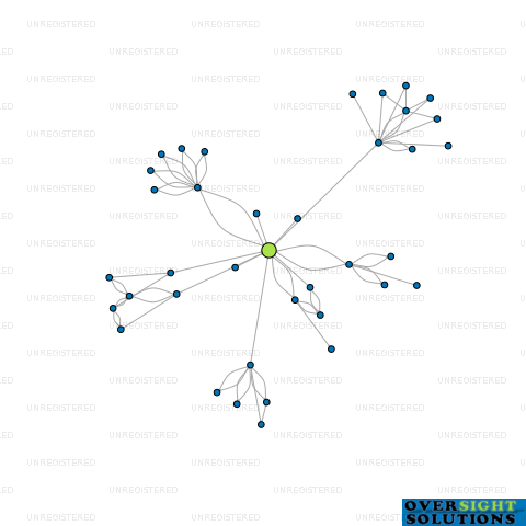 Network diagram for YALDHURST MEDICAL CENTRE LTD