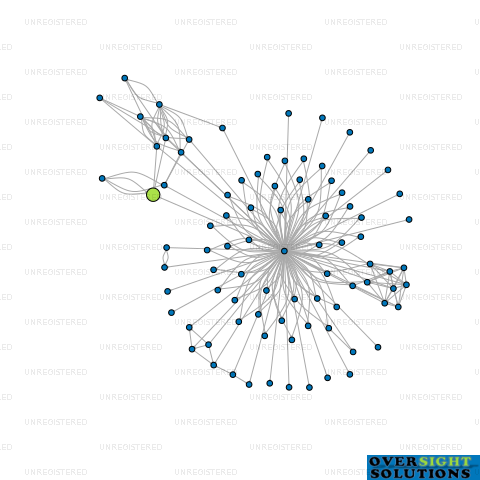 Network diagram for TRENTS MANAGEMENT LTD