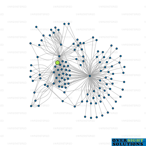 Network diagram for WILSON PARTNERS SHOEBRIDGE TRUSTEES LTD