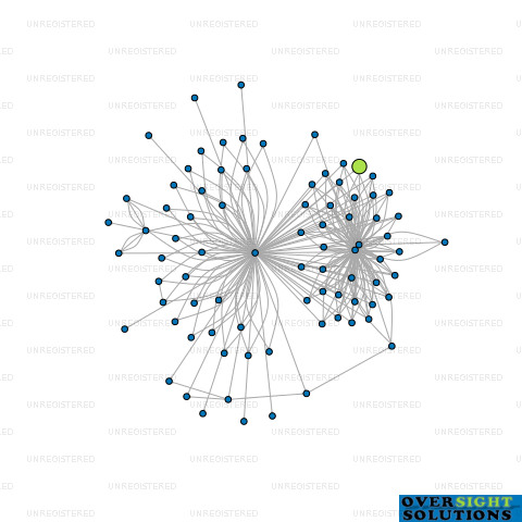 Network diagram for 33 BAY ROAD LTD
