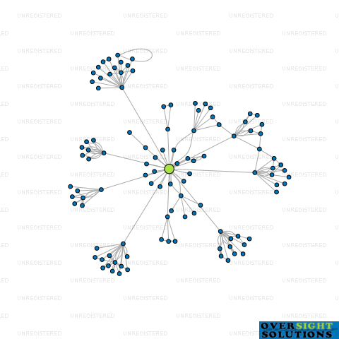 Network diagram for 1PLACE LTD