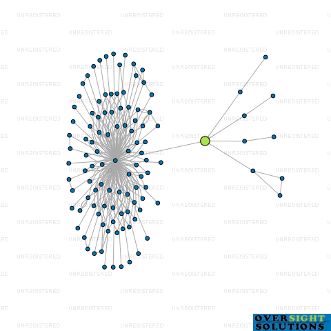 Network diagram for WILSON PARTNERS ANDERSON TRUSTEES LTD