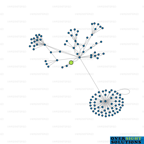 Network diagram for NELSON BUILDING SERVICES LTD