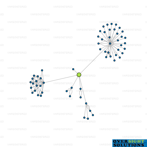 Network diagram for TURNER HEIGHTS LTD