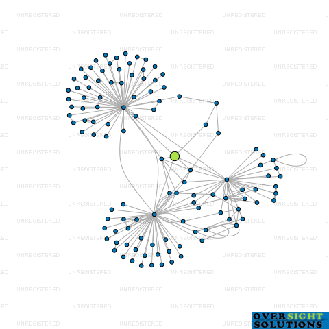 Network diagram for PACIFIC 2021 BIDCO NZ LTD