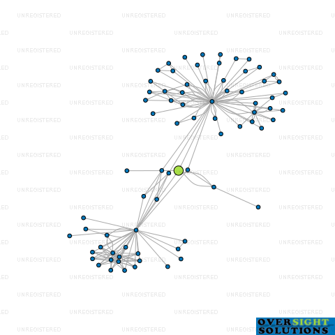 Network diagram for WMAH LP SPV 3 LTD