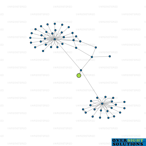Network diagram for AFTERLIFE LTD
