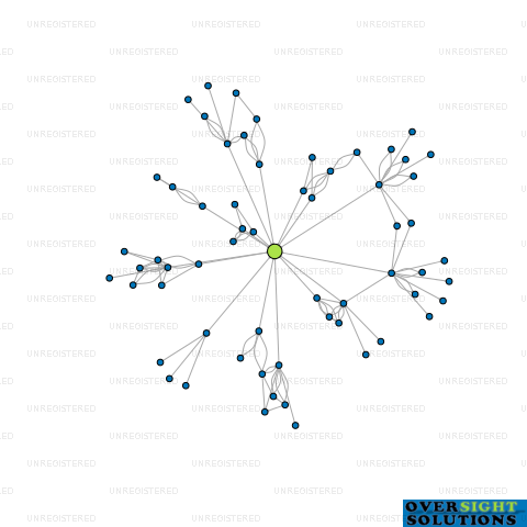 Network diagram for TRIFUNOVICH  CO LTD