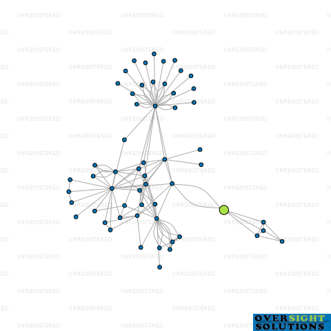 Network diagram for YIN YOUNG  CO LTD
